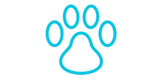 An icon of a dog's paw print.
